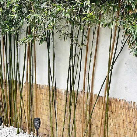 L'Escale Avec Jardin - Coeur De Ville La Rochelle  Exterior foto